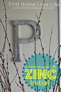 zinctitle.jpg