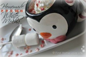 PeppermintMochaCover