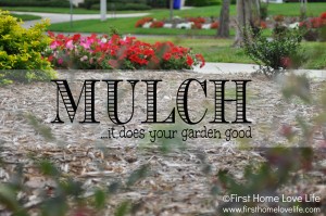 mulch