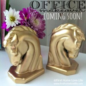 horsetitle