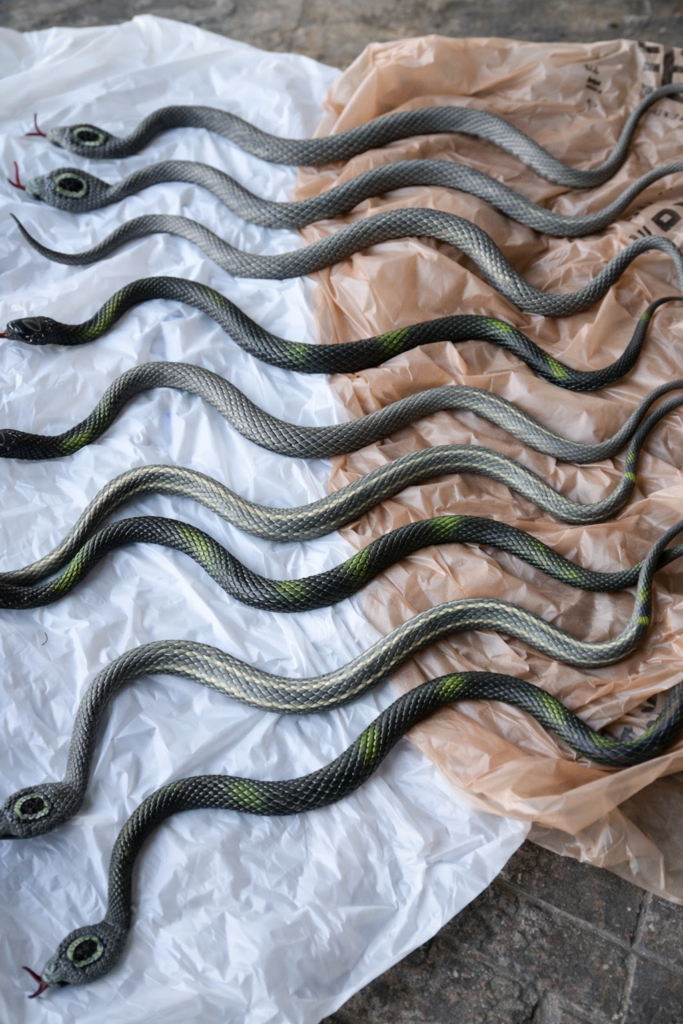Rubber snakes laid out before spray painting for a DIY Halloween snake wreath project.