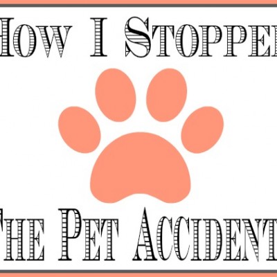How to: Stop Pet Accidents!