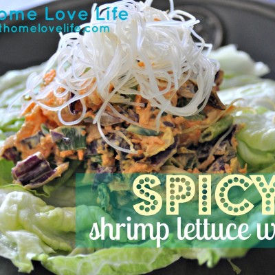 Spicy Shrimp Lettuce Wraps