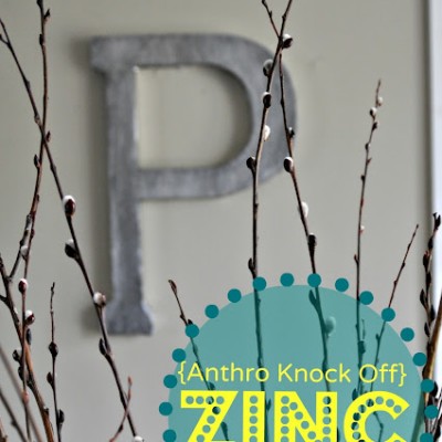 Anthropology *Zinc* Initial Knock Off