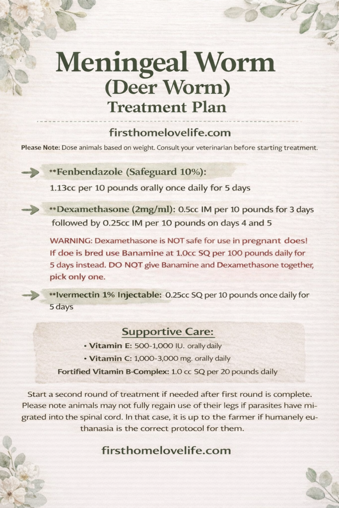 Meningeal worm (deer worm) treatment plan for goats including fenbendazole, dexamethasone, ivermectin dosages and supportive care protocol.