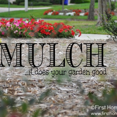 Mulch to do About Nothing!