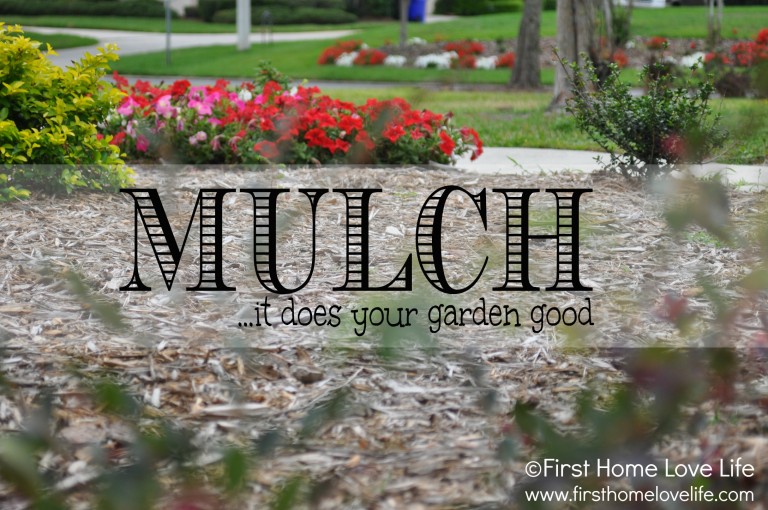 Mulch to do About Nothing!