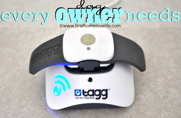 What Every Pet Owner Should Have