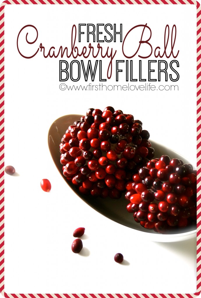 CRANBERRY BALL BOWL FILLERS