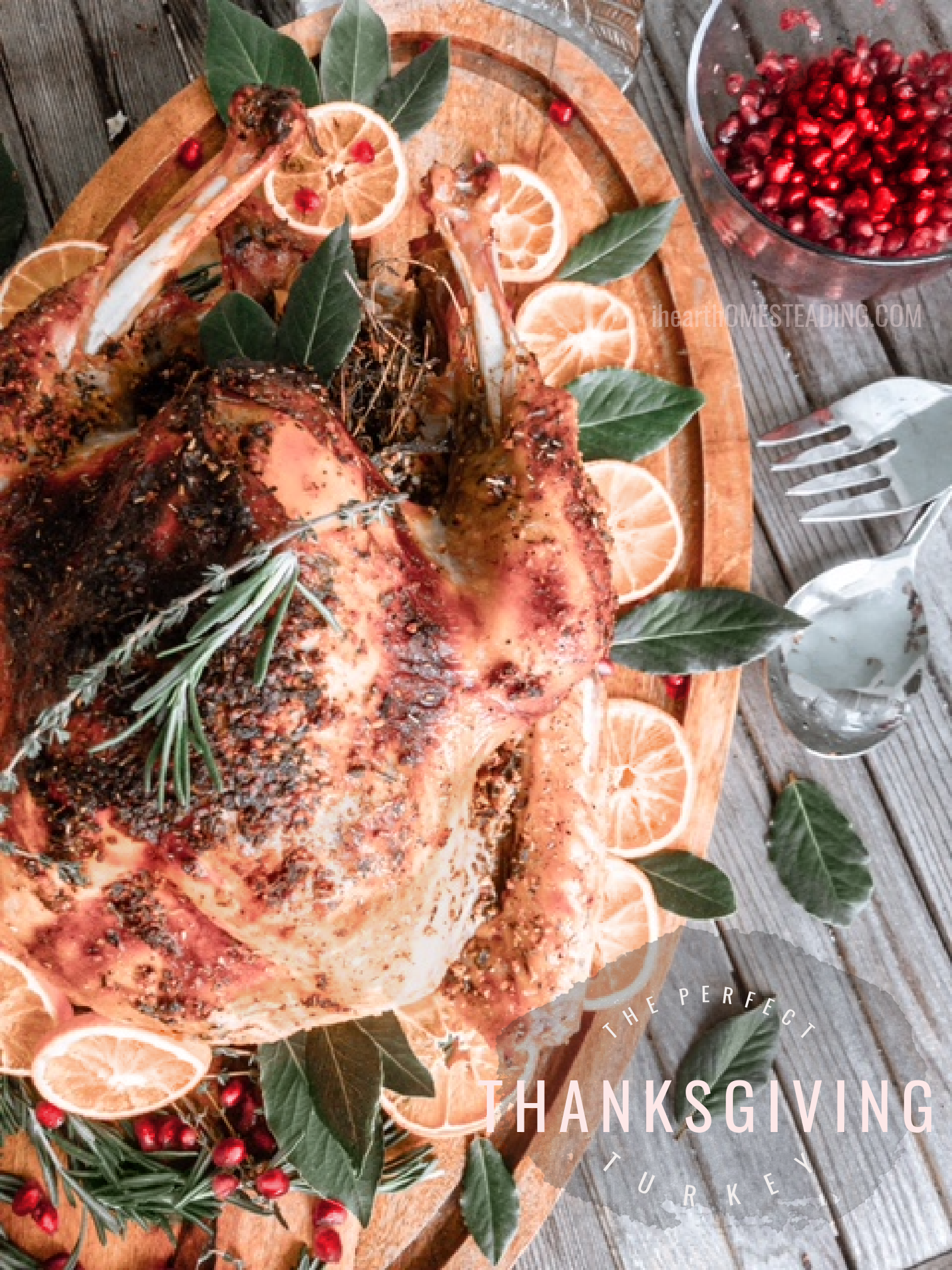 Tips and Tricks for the Perfect Thanksgiving Turkey