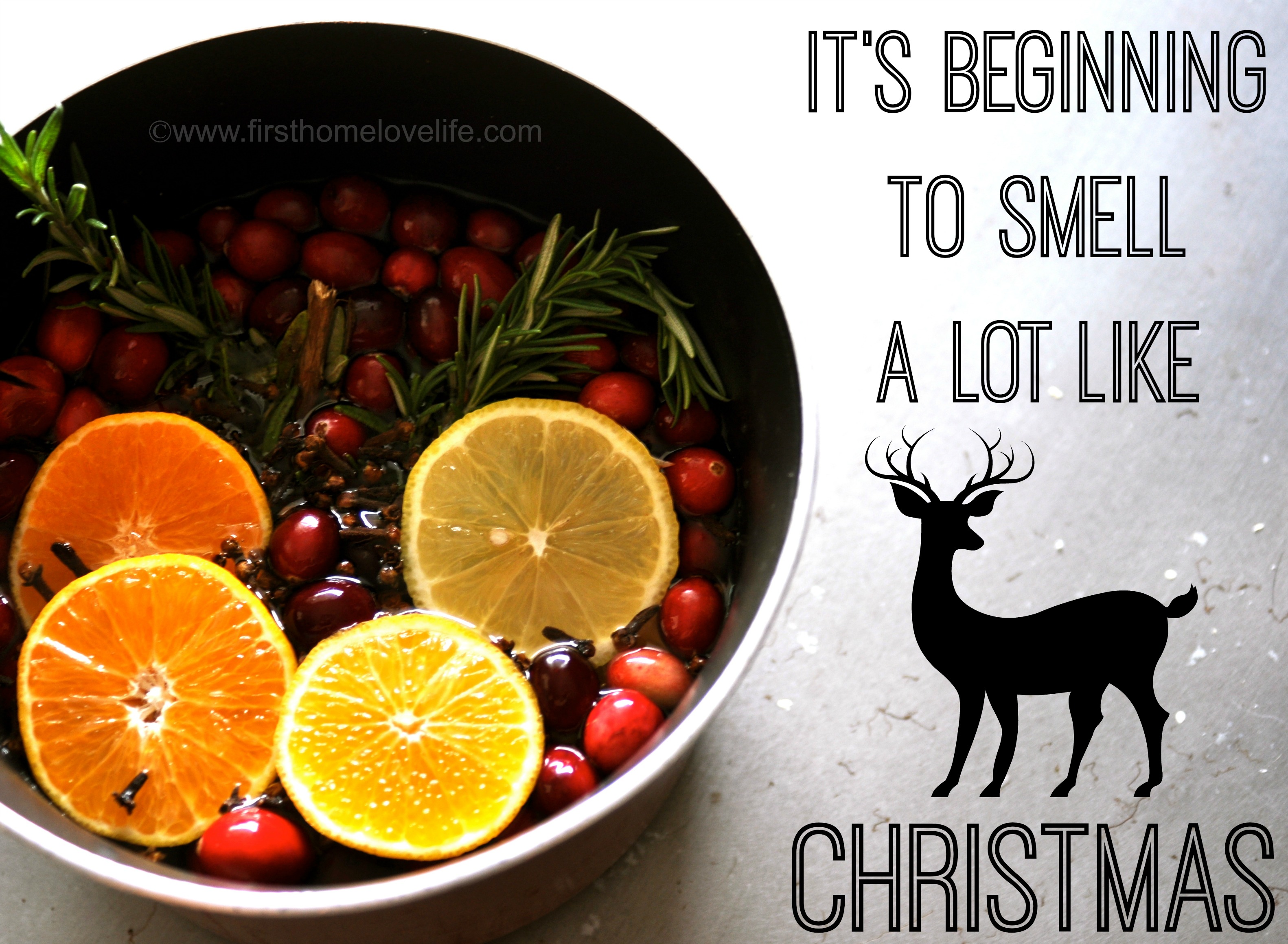 Christmas smells best sale