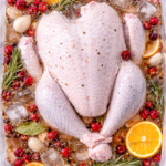 Whole raw turkey submerged in a brining bag with cranberries, orange slices, herbs, garlic, and ice from a bird’s eye view