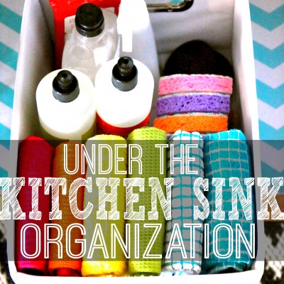 Kitchen Sink Organization