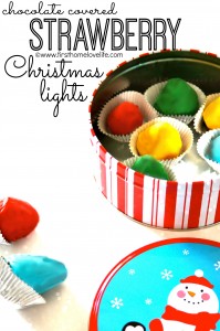 Chocolate Covered Strawberry Christmas Lights