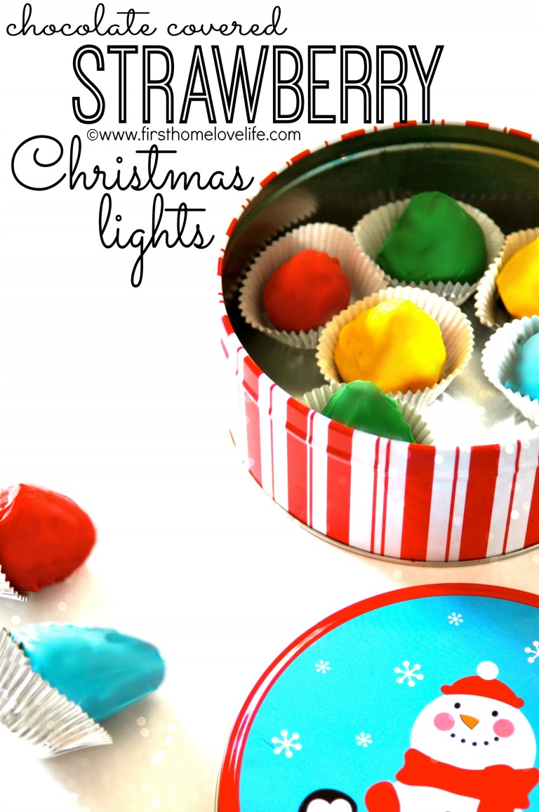 Chocolate Covered Strawberry Christmas Lights