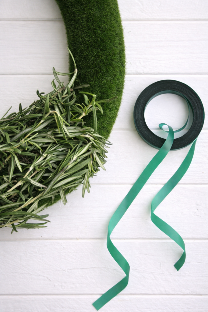 Fresh rosemary arranged on a moss wreath form with floral tape on a white background, showing materials for a DIY fresh herb wreath.