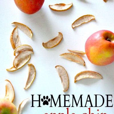 Homemade Apple Chip Dog Treats