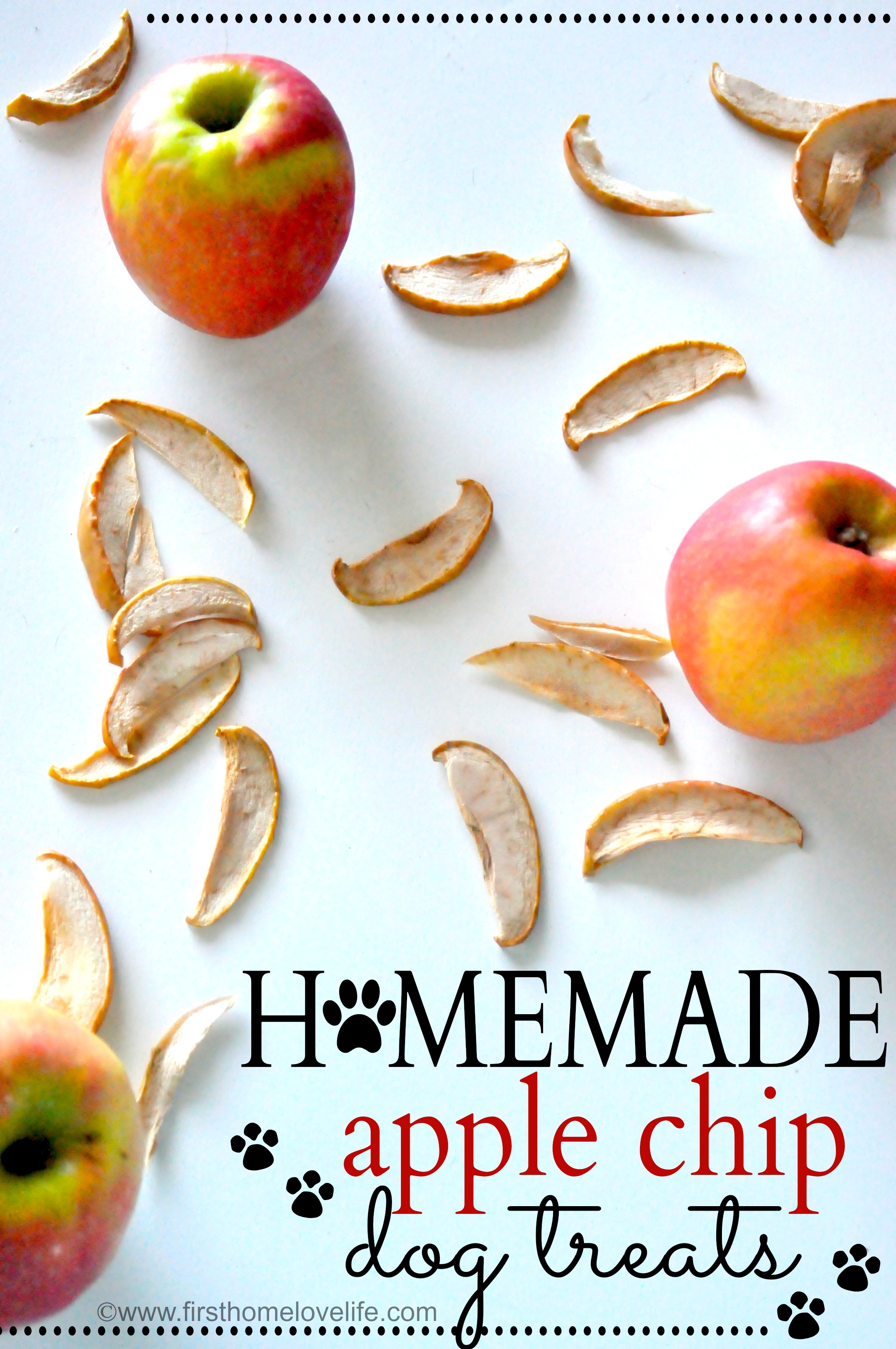 dehydrated apples for dogs