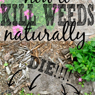 3 Killer Ways to Get Rid of Weeds Naturally