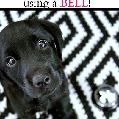 Potty Training Puppy Using a Bell