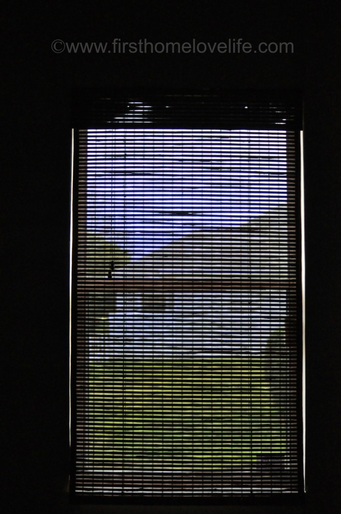 darkblinds