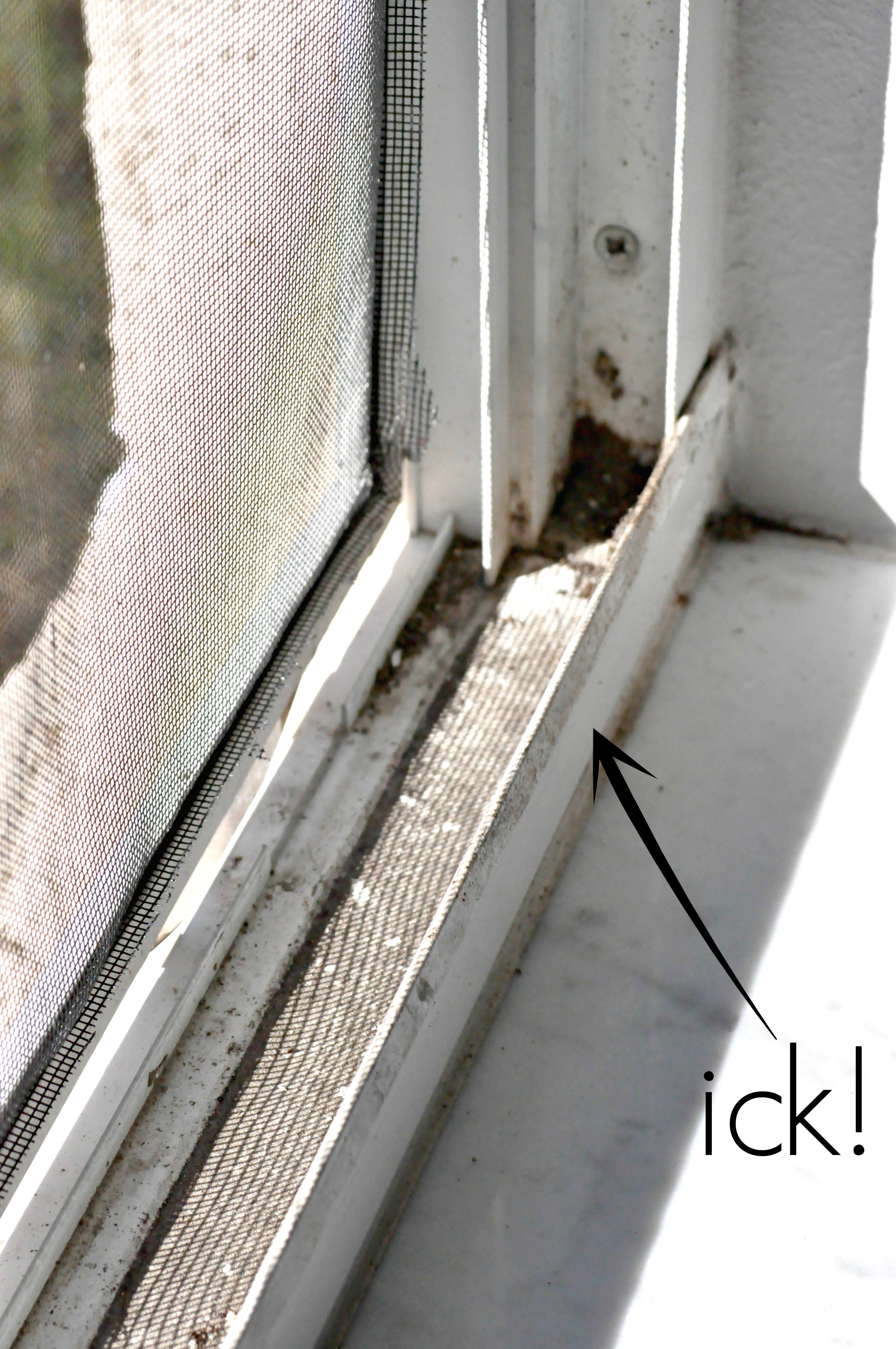 How to Clean Window Tracks Like a Pro in No Time Flat