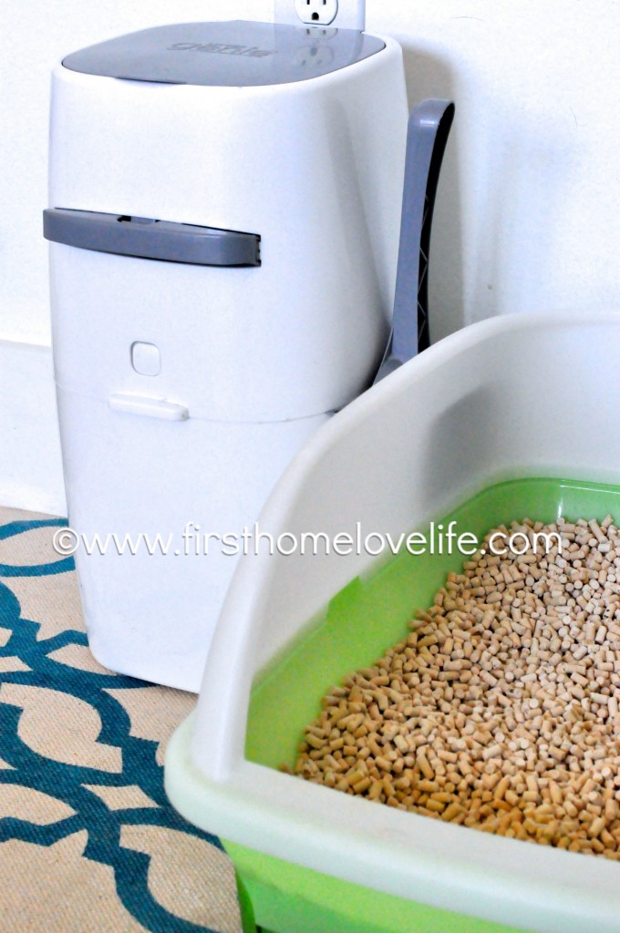 No more litter box odor with this simple system! #pets #cats