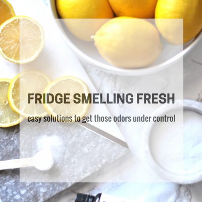 Fridge Smelling Fresh