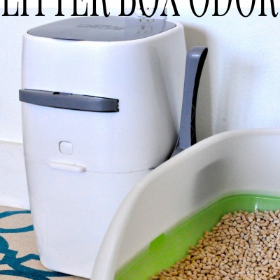 No More Litter Box Odor