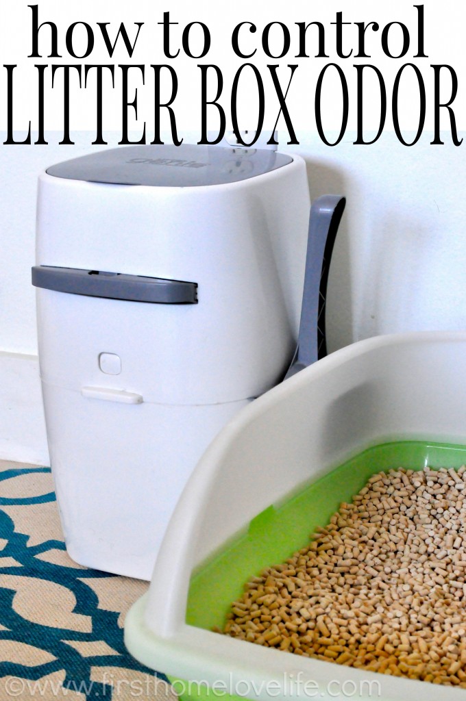 No more litter box odor with this simple system!