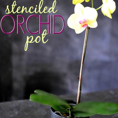 Stenciled Orchid Pot