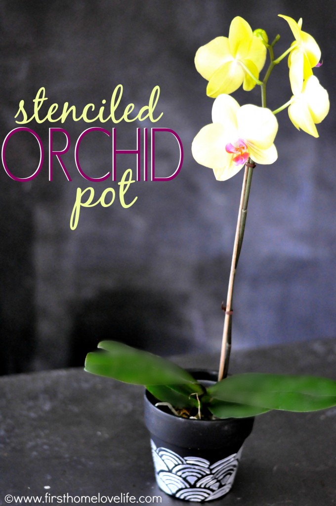 orchid cover