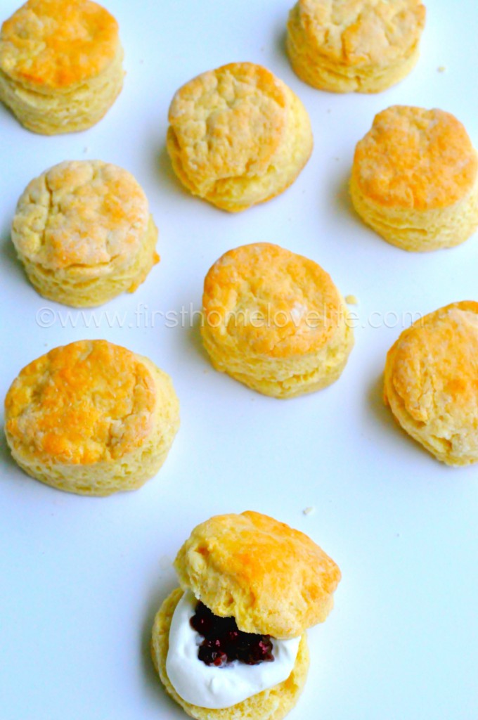 This simply delicious scone recipe is SO easy to make and a perfect starting off point for tons of variations! The most delicious scone recipe on the web!