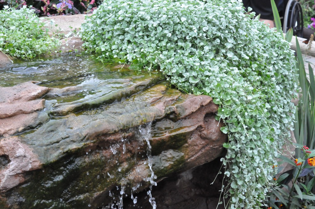 There's so much to see and do at the Epcot Flower and Garden Festival! From butterfly gardens, to fabulous food, and entertainment-It's a magical experience not to be missed! #travel #disneyworld #epcot #disney