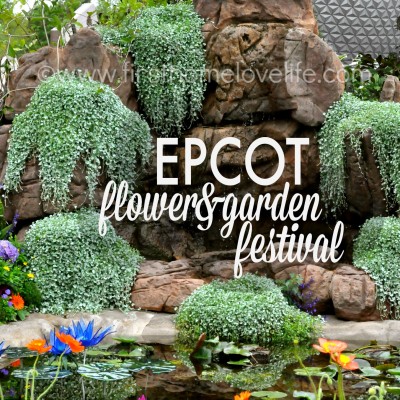 Epcot Flower and Garden Festival