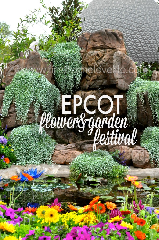 There's so much to see and do at the Epcot Flower and Garden Festival! From butterfly gardens, to fabulous food, and entertainment-It's a magical experience not to be missed! #travel #disneyworld #epcot #disney