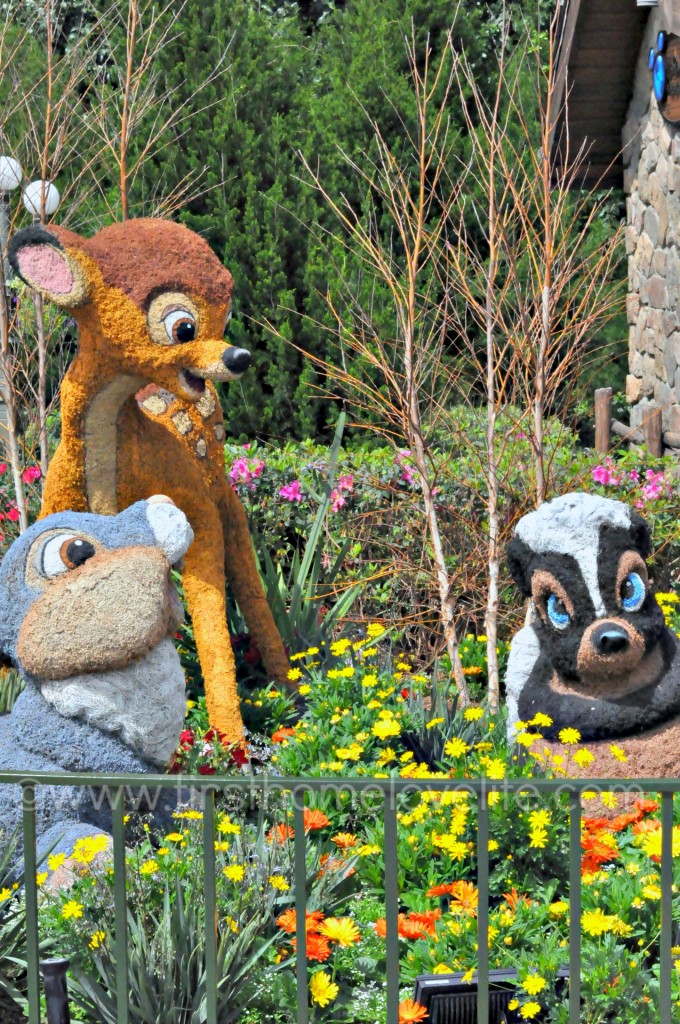 There's so much to see and do at the Epcot Flower and Garden Festival! From butterfly gardens, to fabulous food, and entertainment-It's a magical experience not to be missed! #travel #disneyworld #epcot #disney