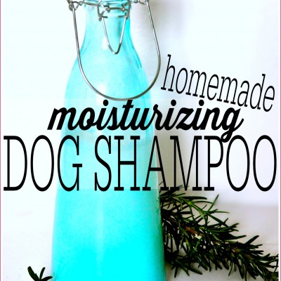 Homemade Dog Shampoo