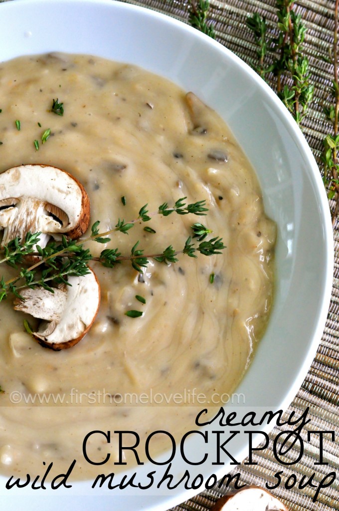 Creamy Crockpot Wild Mushroom Soup- a creamy, decadent soup that can be doctored up with wild rice, chicken, both or even made vegetarian.