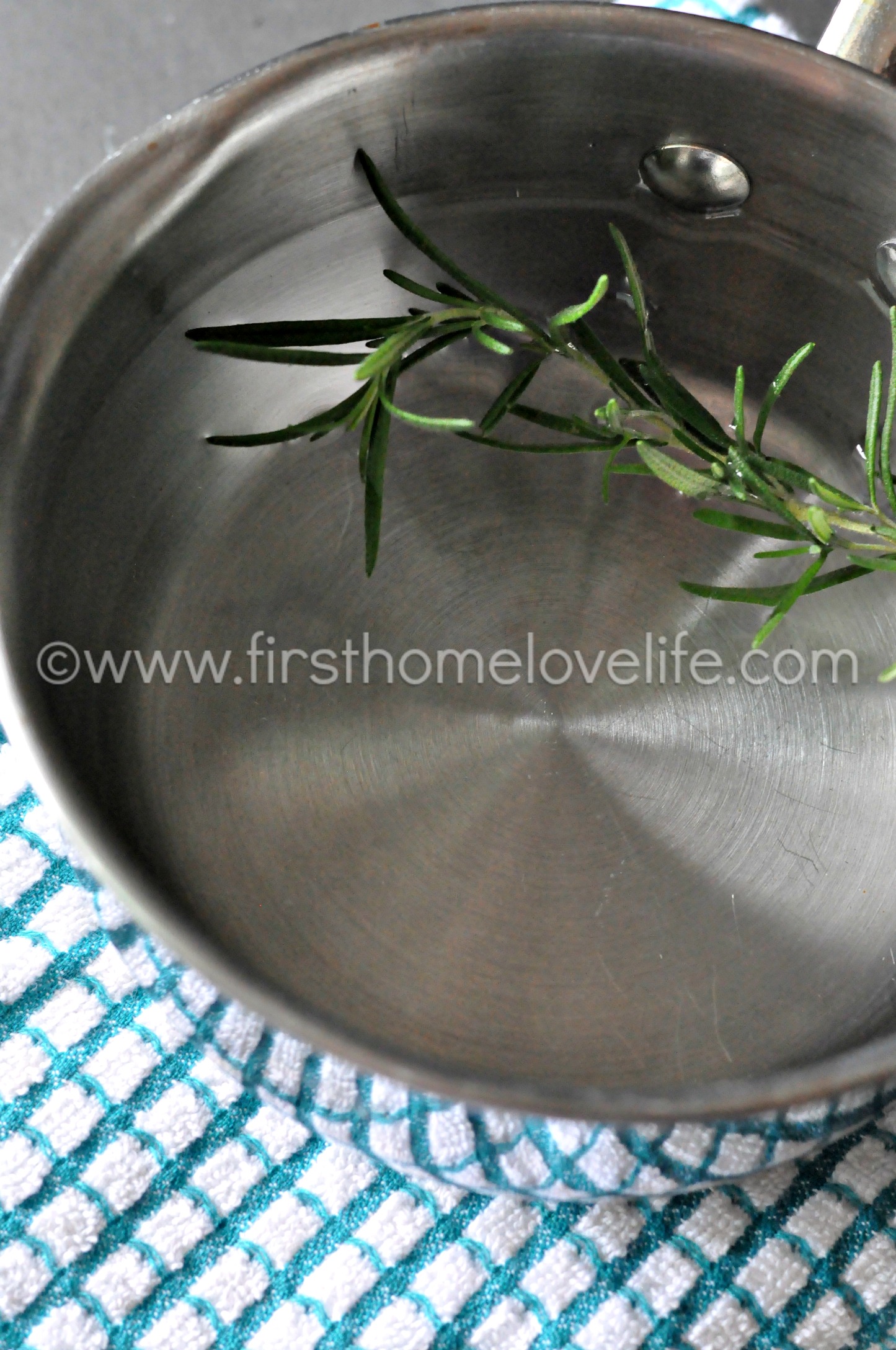 Homemade dog hotsell shampoo for shedding