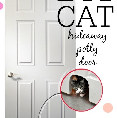 DIY Cat Potty Door