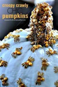 Creepy Crawly Chic Pumpkins