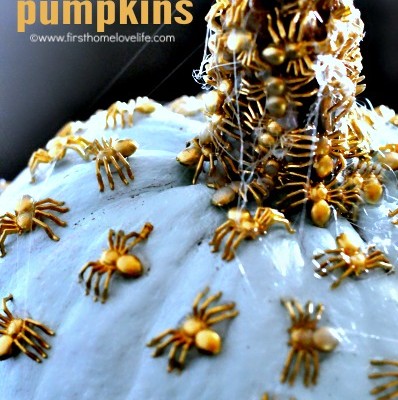 Creepy Crawly Chic Pumpkins