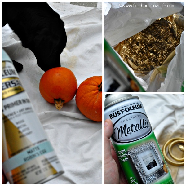 blue and gold pumpkin prep Collage