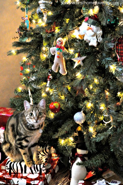 Kitten under the Christmas Tree