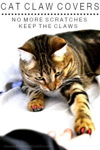 Cat Claw Covers