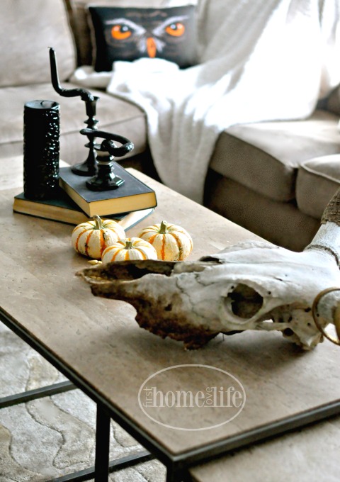 Inexpensive Halloween Decoration Ideas to DIY via firsthomelovelife.com