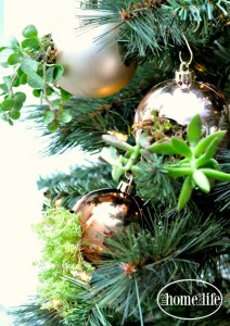 These DIY succulent ornaments are the perfect DIY gift idea for the holidays! Make them to hang on your Christmas tree or give as a gift via firsthomelovelife.com