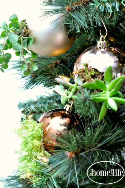 These DIY succulent ornaments are the perfect DIY gift idea for the holidays! Make them to hang on your Christmas tree or give as a gift via firsthomelovelife.com