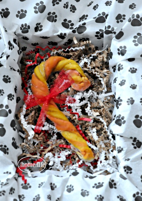Homemade Dog Treat | Christmas Dog Bone | Candy Cane Dog Treat via firsthomelovelife.com